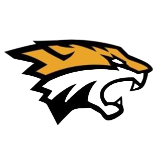 Wild Cats Media Logo